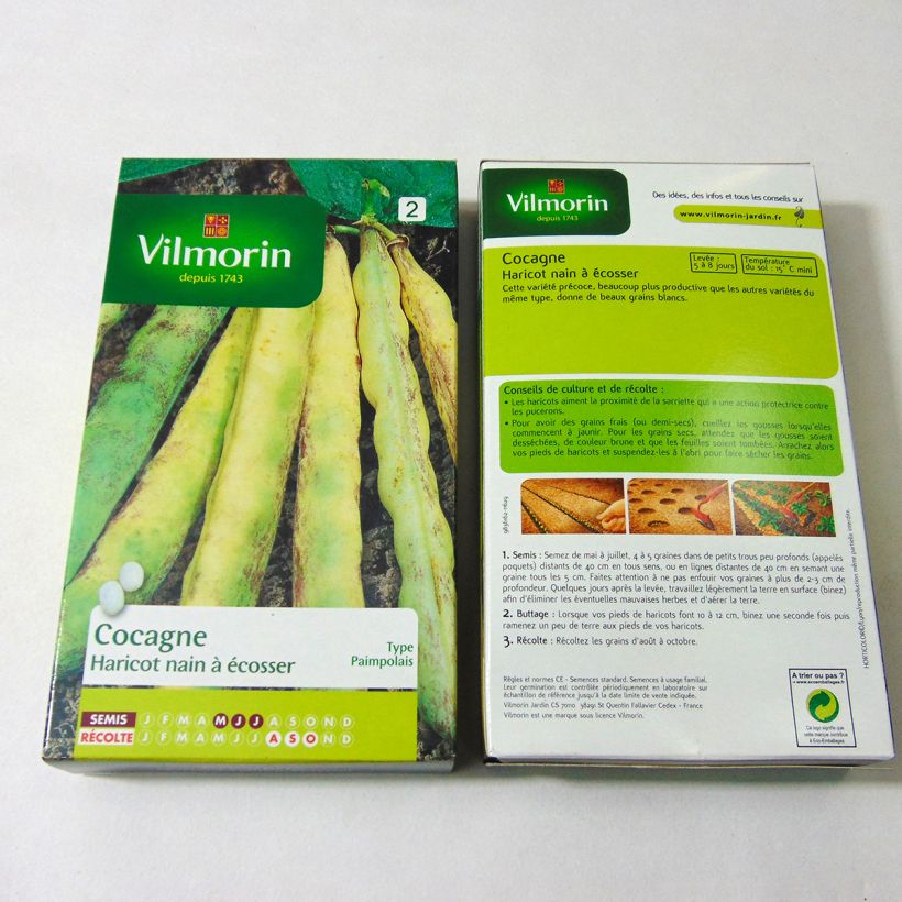 Exemple de spécimen de Haricot nain à écosser Cocagne  - Vilmorin le sachet de 400 graines (200g) tel que livré