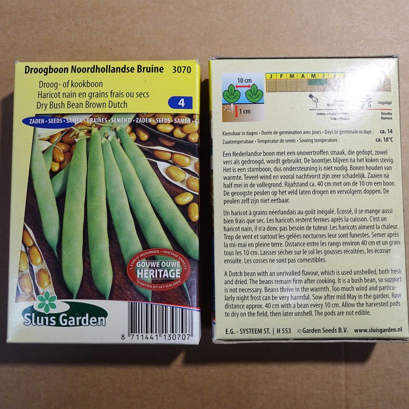 Exemple de spécimen de Haricot nain à écosser Noordhollandse Bruine le sachet de 200 graines (100g) tel que livré