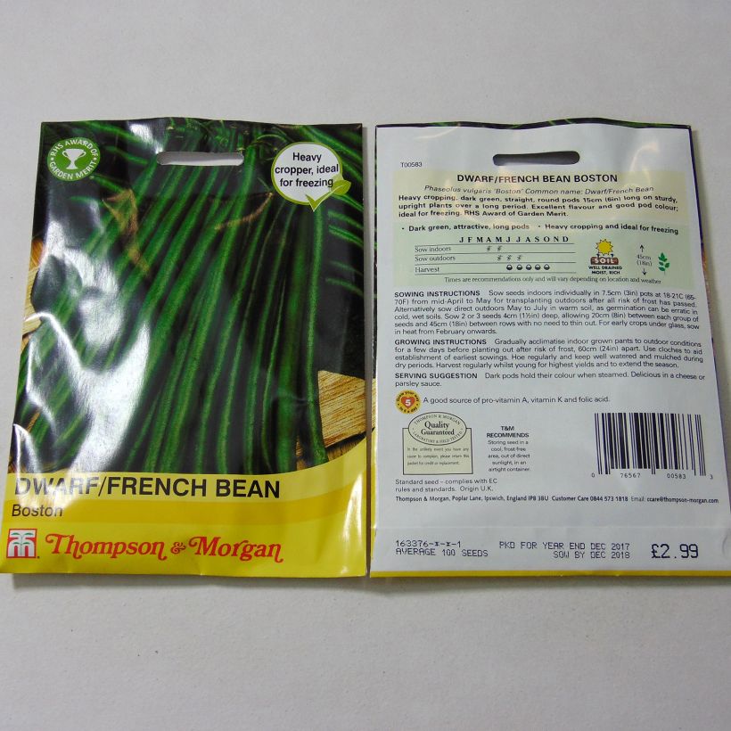 Exemple de spécimen de Haricot nain à filet Boston le sachet de 100 graines tel que livré