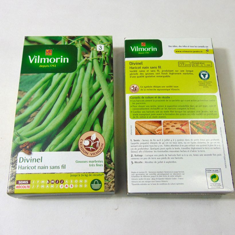 Exemple de spécimen de Haricot nain à filet Divinel (Création Vilmorin) - Vilmorin le sachet de 400 graines (200g) tel que livré