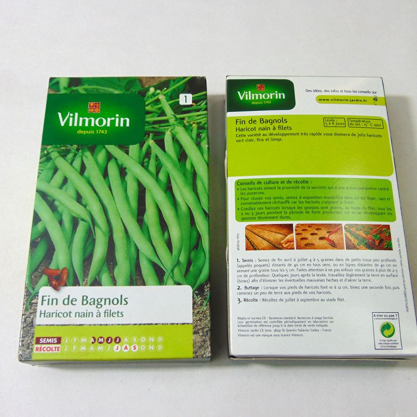 Exemple de spécimen de Haricot nain à filet Fin de Bagnols - Vilmorin le sachet de 500 graines (250g) tel que livré