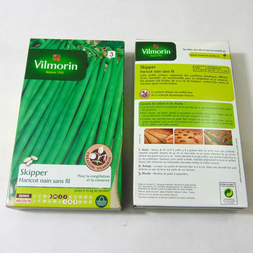 Exemple de spécimen de Haricot nain à filet Skipper (Création Vilmorin) - Vilmorin le sachet de 400 graines (200g) tel que livré