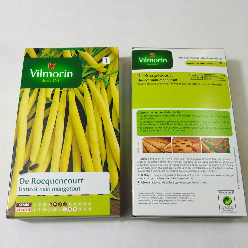 Exemple de spécimen de Haricot nain mangetout Beurre de Rocquencourt - Vilmorin le sachet de 500 graines (250g) tel que livré