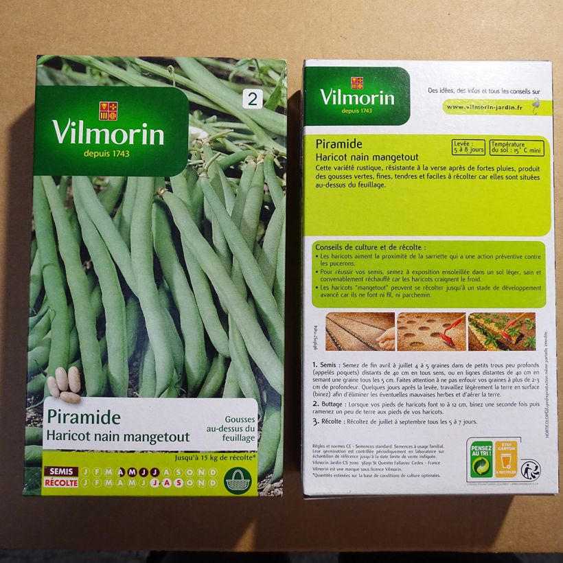 Exemple de spécimen de Haricot nain mangetout Piramide - Vilmorin le sachet de 400 graines (200g) tel que livré