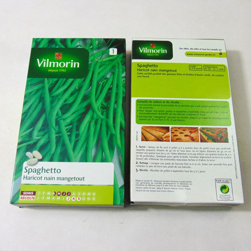 Exemple de spécimen de Haricot nain mangetout Spaghetto - Vilmorin le sachet de 350 graines (175g) tel que livré