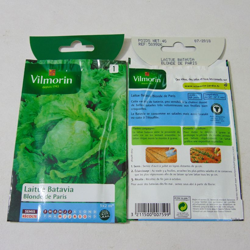 Exemple de spécimen de Laitue Batavia Blonde de Paris - Vilmorin le sachet de 3200 graines (4g) tel que livré