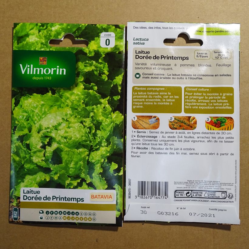 Exemple de spécimen de Laitue Batavia Dorée de printemps - Vilmorin le sachet de 2400 graines (3g) tel que livré