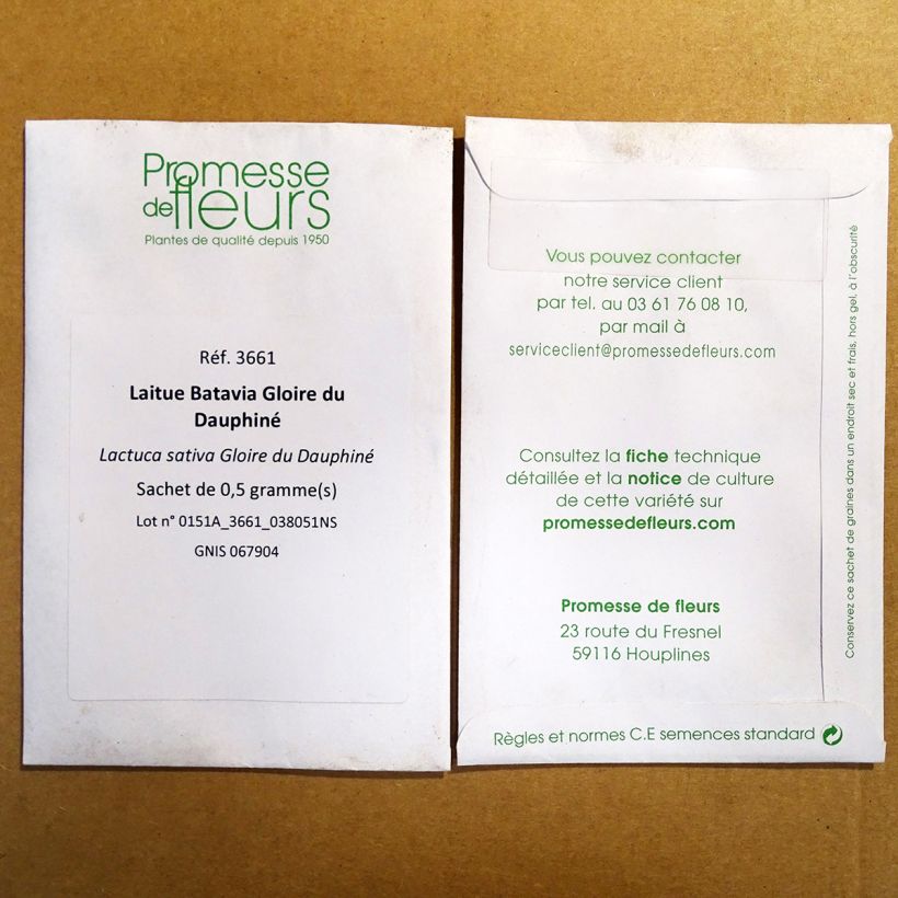 Exemple de spécimen de Laitue Batavia Gloire du Dauphiné - Lactuca sativa le sachet de 400 graines tel que livré