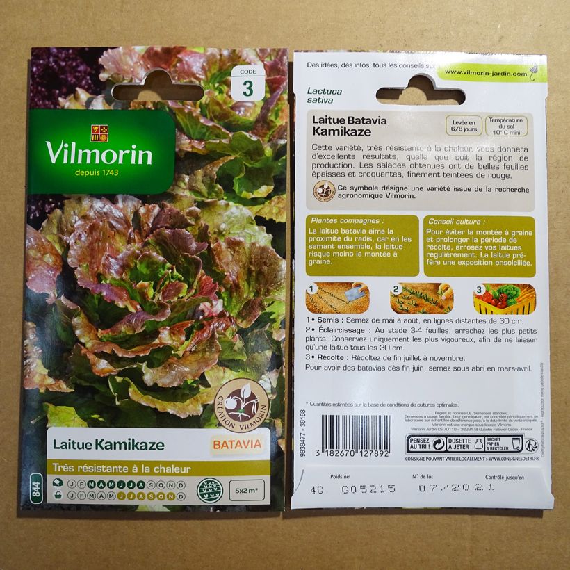 Exemple de spécimen de Laitue Batavia Kamikaze (Obt.Vilmorin) feuilles rouges - Vilmorin le sachet de 3200 graines (4g) tel que livré