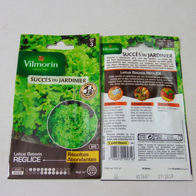 Exemple de spécimen de Laitue Batavia Reglice F1 (Création Vilmorin) - Vilmorin le sachet de 1600 graines (2g) tel que livré