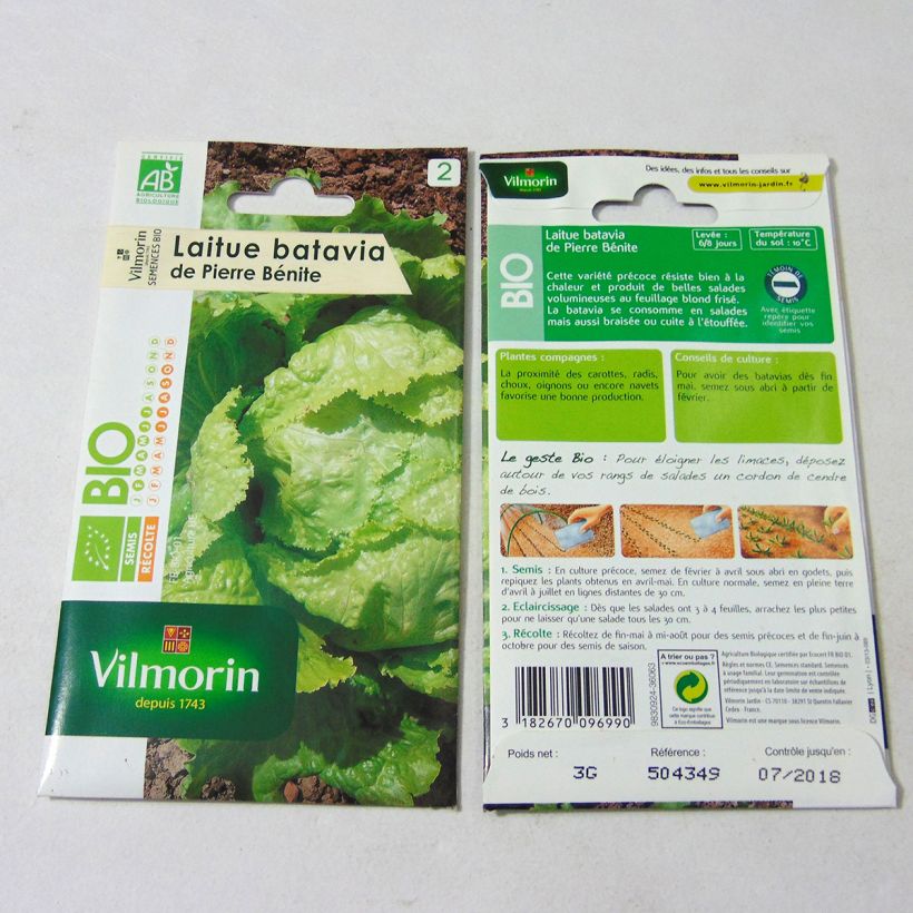 Exemple de spécimen de Laitue Batavia de Pierre Bénite Bio - Vilmorin le sachet de 2400 graines (3g) tel que livré