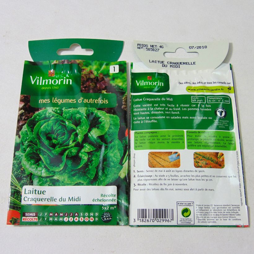 Exemple de spécimen de Laitue Grasse Craquerelle du Midi - Vilmorin le sachet de 3200 graines (4g) tel que livré