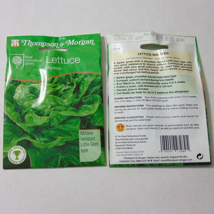Exemple de spécimen de Laitue Grasse Maureen le sachet de 175 graines tel que livré