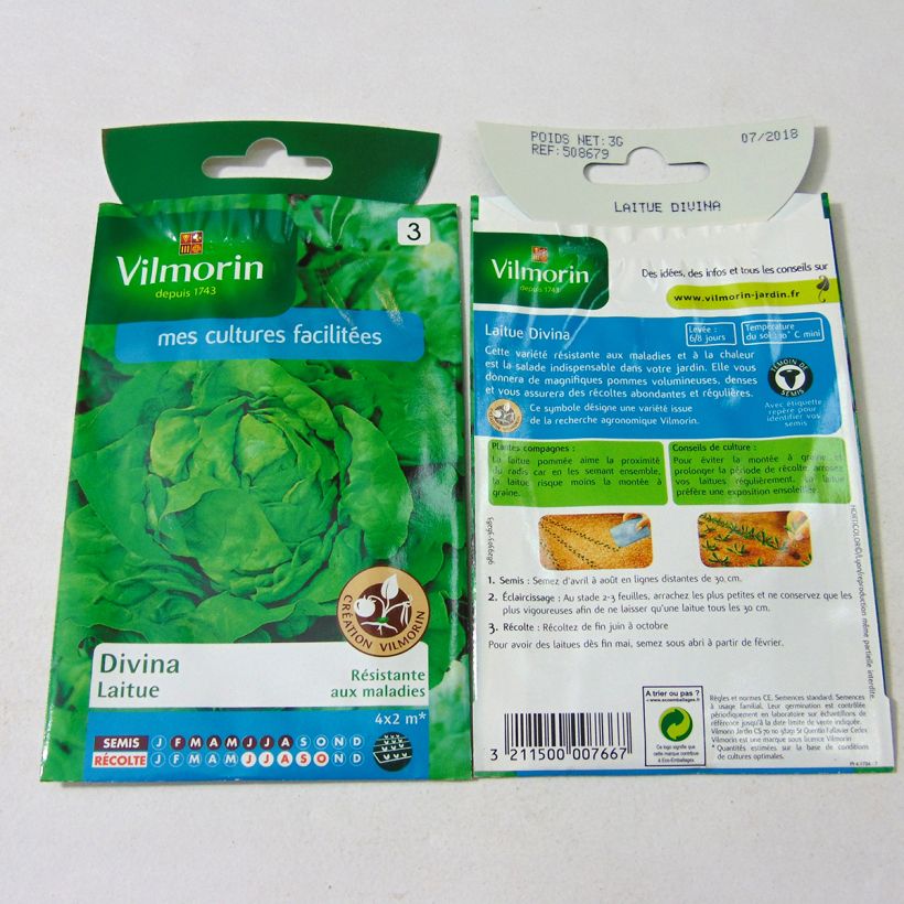Exemple de spécimen de Laitue Pommée Divina (Création Vilmorin) - Vilmorin le sachet de 2400 graines (3g) tel que livré