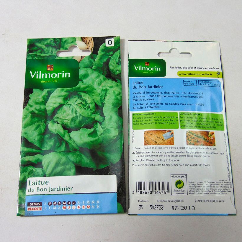Exemple de spécimen de Laitue Pommée Du Bon Jardinier - Vilmorin le sachet de 2400 graines (3g) tel que livré