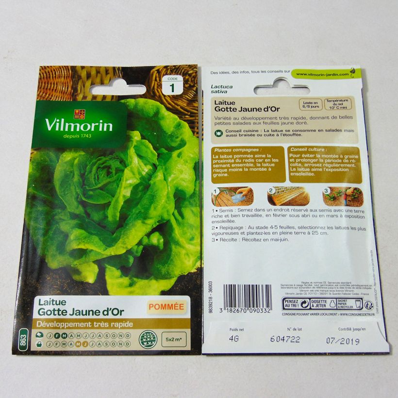 Exemple de spécimen de Laitue Pommée Gotte Jaune d' Or (Gotte dorée)  le sachet de 3200 graines (4g) tel que livré