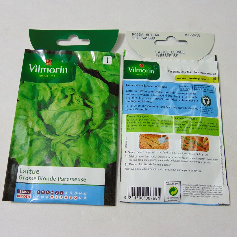Exemple de spécimen de Laitue Pommée Grosse Blonde Paresseuse - Vilmorin le sachet de 3200 graines (4g) tel que livré
