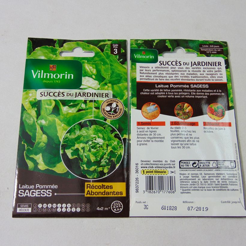 Exemple de spécimen de Laitue Pommée Sagess (Création Vilmorin) - Vilmorin le sachet de 2400 graines (3g) tel que livré