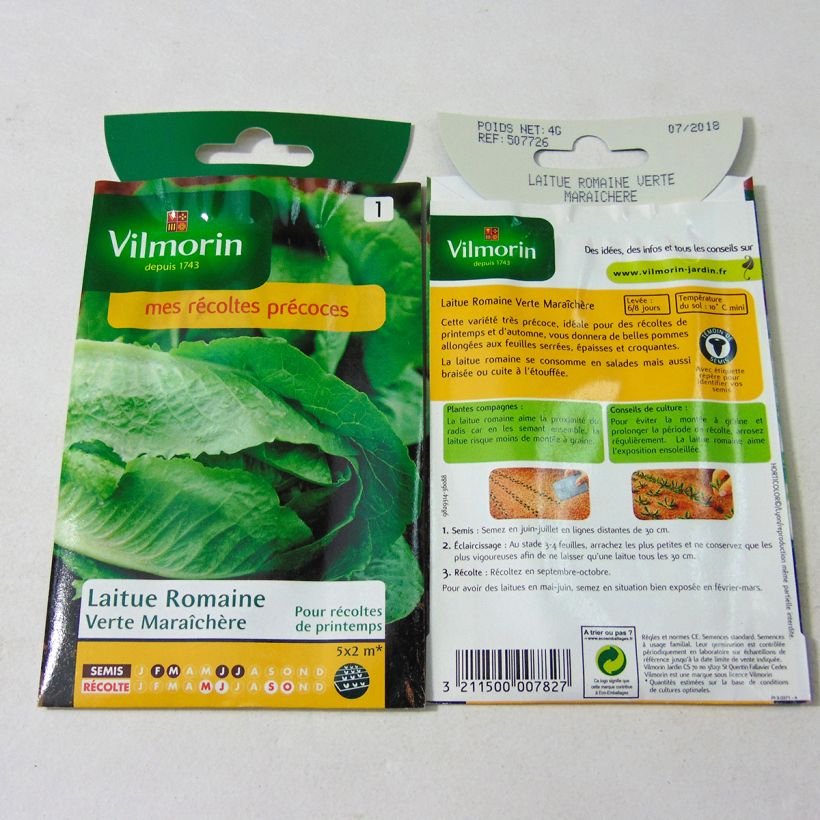 Exemple de spécimen de Laitue Romaine Verte maraîchère - Vilmorin le sachet de 3200 graines (4g) tel que livré