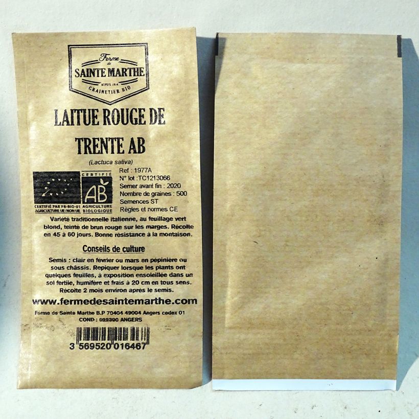 Exemple de spécimen de Laitue Rouge de Trente Rossa di Trento Bio - Ferme de Sainte Marthe le sachet de 500 graines tel que livré