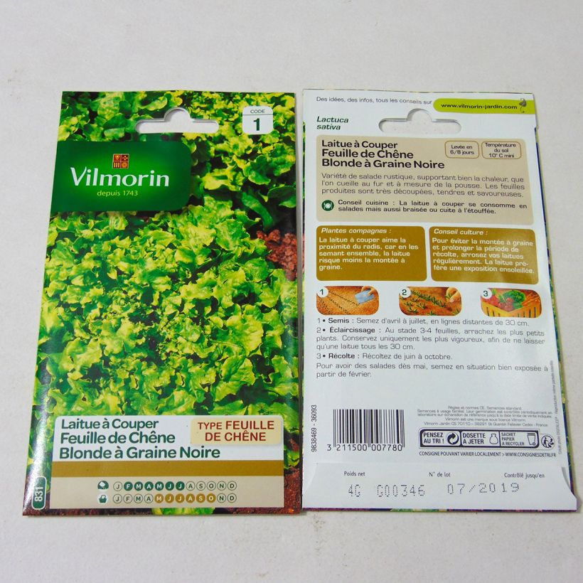 Exemple de spécimen de Laitue à couper Feuille de Chêne blonde à graines noires - Vilmorin le sachet de 4000 graines (4g) tel que livré