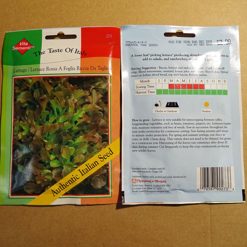 Exemple de spécimen de Laitue à couper Riccia Rossa da Taglio le sachet de 7000 graines tel que livré