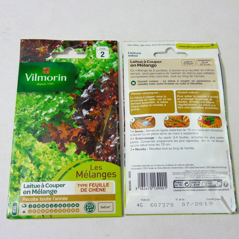 Exemple de spécimen de Laitue à couper en mélange (Bowl verte et rouge) - Vilmorin le sachet de 4000 graines (4g) tel que livré