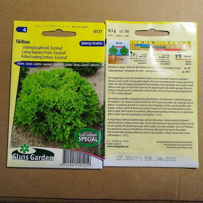 Exemple de spécimen de Laitue batavia frisée Eazyleaf Skilton le sachet de 180 graines (0.3g) tel que livré