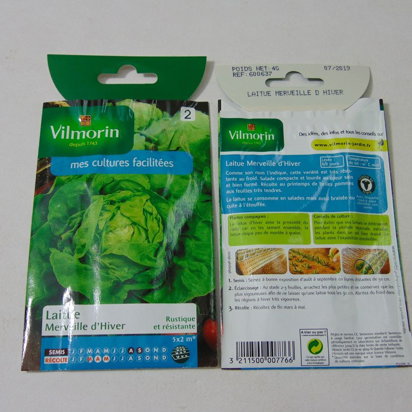 Exemple de spécimen de Laitue d'Hiver Merveille d'Hiver - Vilmorin le sachet de 3200 graines (4g) tel que livré
