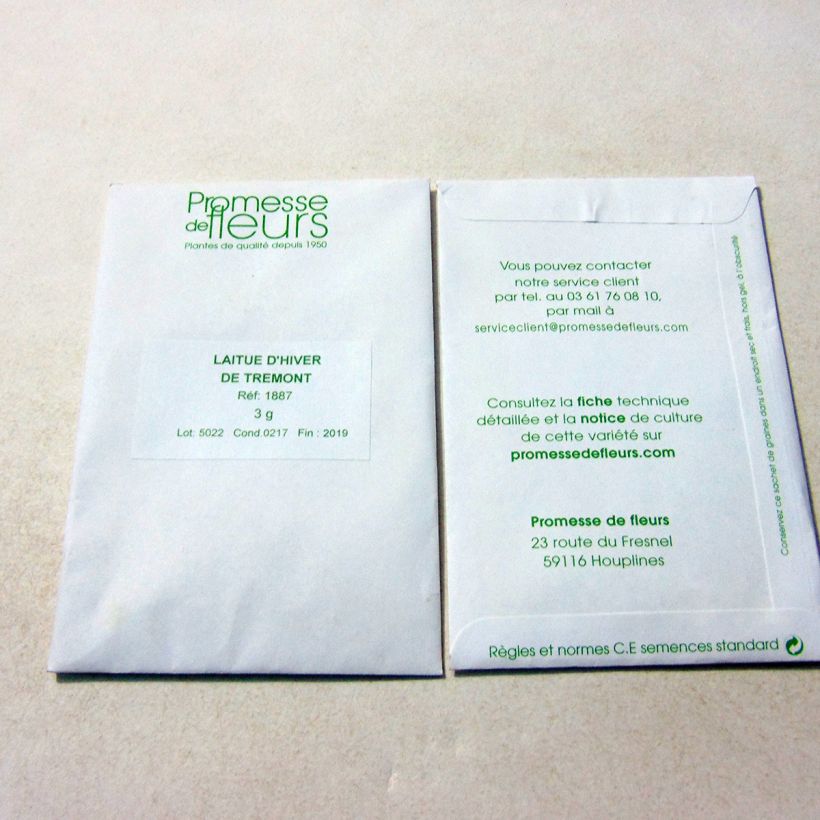 Exemple de spécimen de Laitue d'Hiver Trémont Passion Blonde le sachet de 2500 graines (minimum 3g) tel que livré