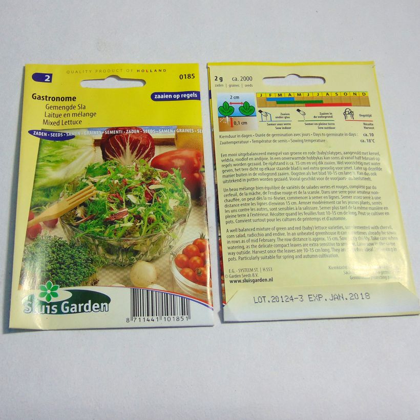 Exemple de spécimen de Laitue en mélange Gastronome - Lactuca sativa le sachet de 2000 graines (2g) tel que livré