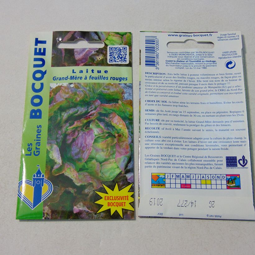 Exemple de spécimen de Laitue pommée Grand-mère à feuilles rouge - Lactuca sativa  le sachet de 1600 graines (2g) tel que livré