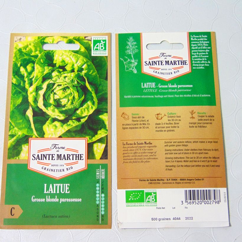 Exemple de spécimen de Laitue pommée Grosse Blonde Paresseuse Bio - Ferme de Sainte Marthe le sachet de 500 graines tel que livré