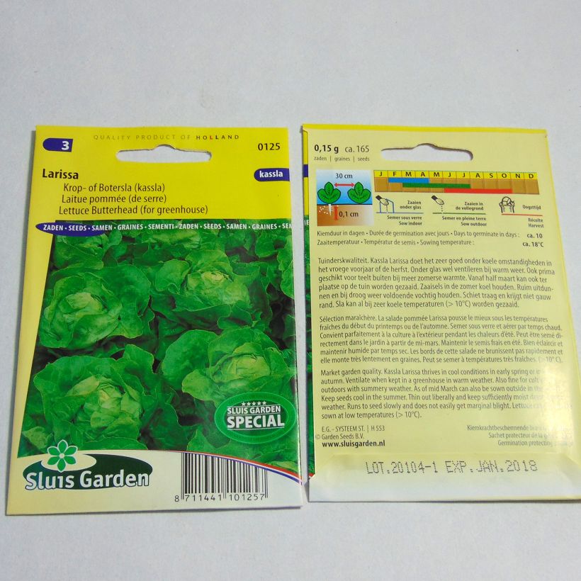 Exemple de spécimen de Laitue pommée Kassla John - Lactuca sativa le sachet de 165 graines tel que livré