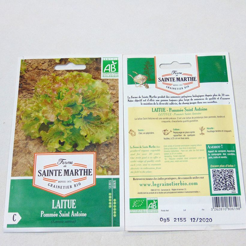Exemple de spécimen de Laitue pommée Saint Antoine Bio - Ferme de Sainte Marthe le sachet de 500 graines tel que livré