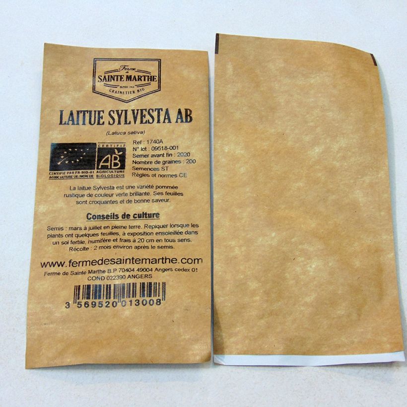 Exemple de spécimen de Laitue pommée Sylvesta Bio - Ferme de Sainte Marthe le sachet de 200 graines tel que livré
