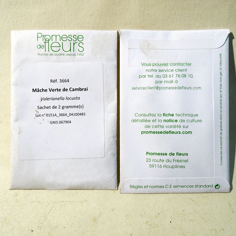 Exemple de spécimen de Mâche Verte de Cambrai le sachet de 1300 graines (2g) tel que livré