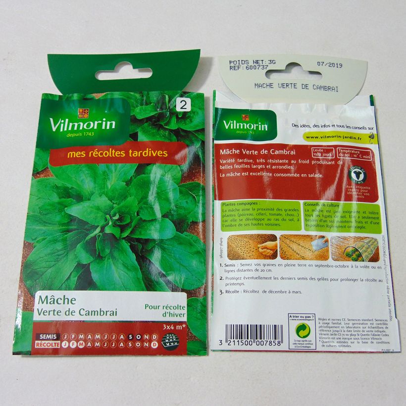 Exemple de spécimen de Mâche Verte de Cambrai - Vilmorin le sachet de 1900 graines (3g) tel que livré