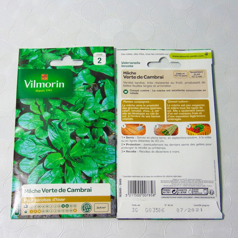 Exemple de spécimen de Mâche Verte de Louviers - Vilmorin le sachet de 3000 graines (3g) tel que livré