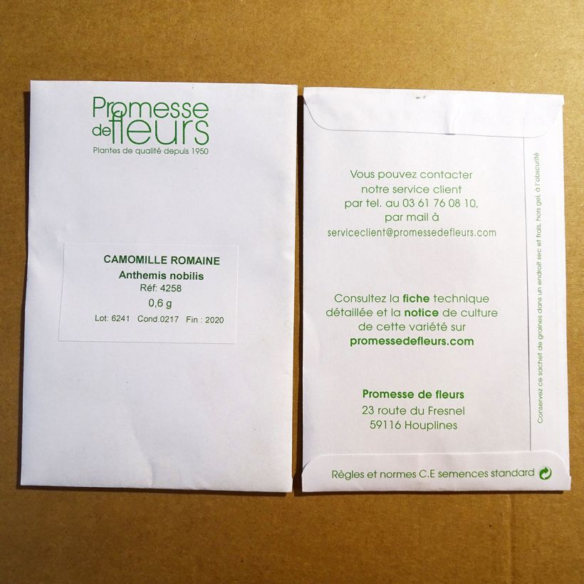 Exemple de spécimen de Matricaire romaine (Anthemis nobilis) - Camomille anglaise le sachet de +/- 3500 graines (minimum 0,6g) tel que livré