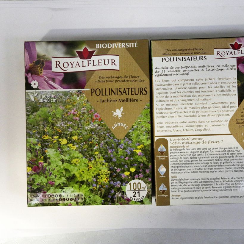 Exemple de spécimen de Mélange pour attirer les pollinisateurs - Boite 100 m2 Boite pour 100 m² tel que livré