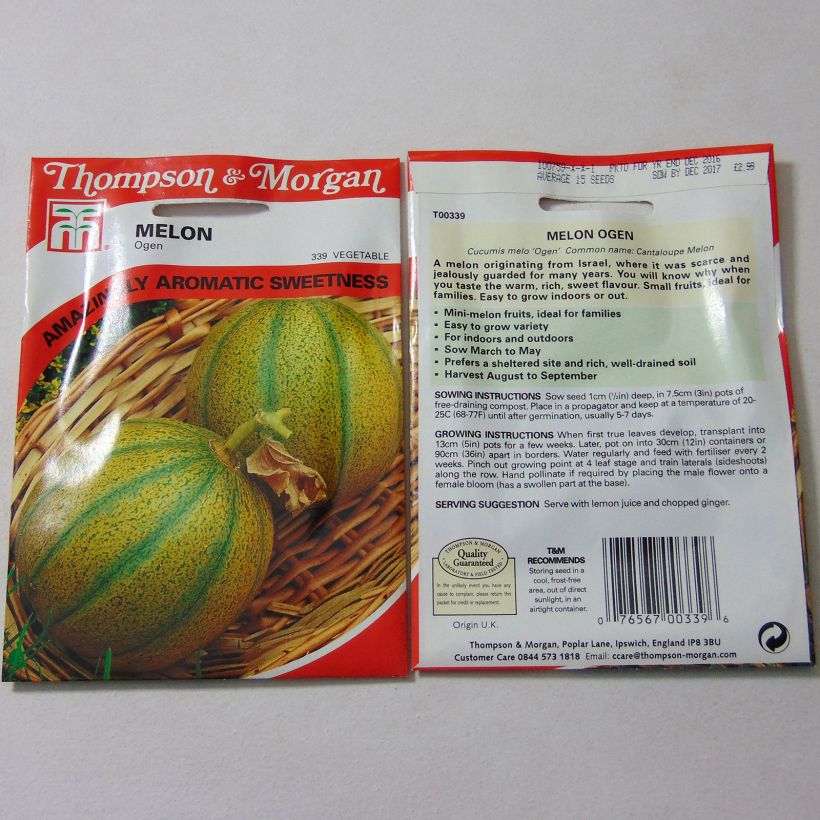 Exemple de spécimen de Melon Ogen le sachet de 15 graines tel que livré