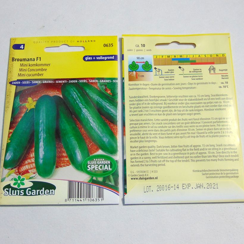 Exemple de spécimen de Mini Concombre Broumana F1 - Cucumis sativus le sachet de 10 graines tel que livré