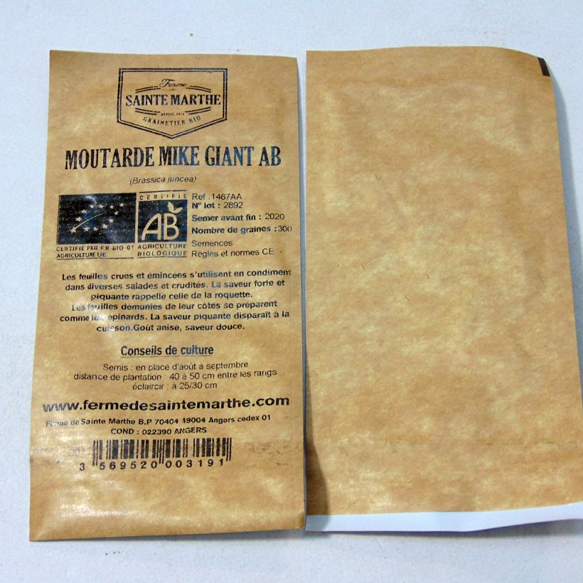 Exemple de spécimen de Moutarde Mike Giant Bio - Ferme de Sainte Marthe le sachet de 300 graines tel que livré