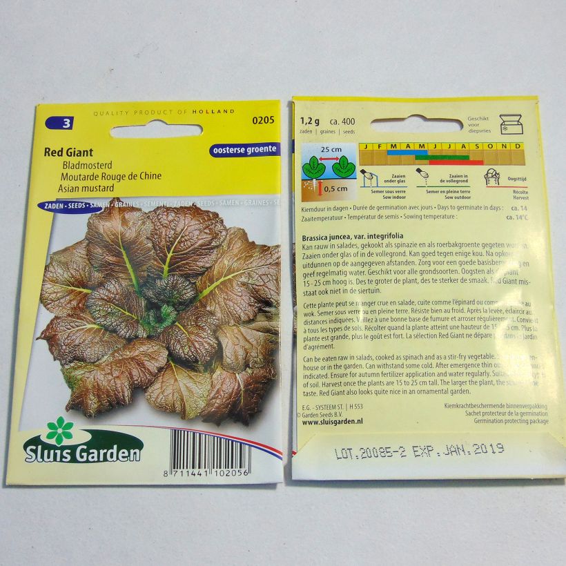 Exemple de spécimen de Moutarde Rouge de Chine Red Giant le sachet de 800 graines (2g) tel que livré