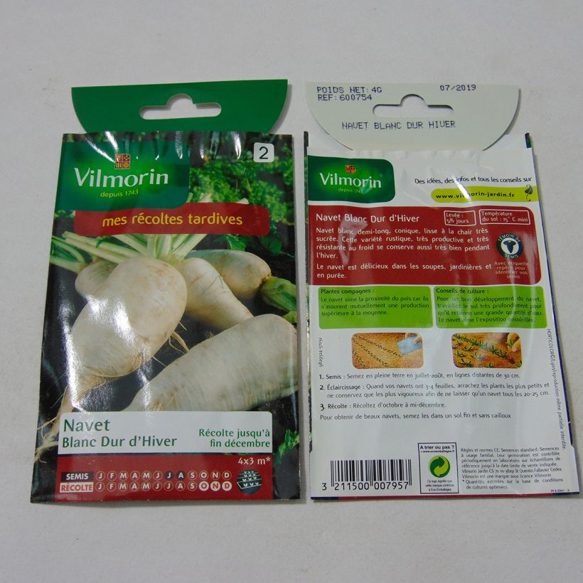 Exemple de spécimen de Navet Blanc Dur d'Hiver - Vilmorin le sachet de 1600 graines (4g) tel que livré
