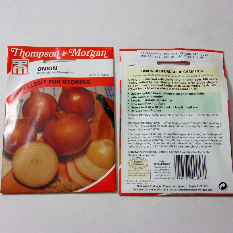 Exemple de spécimen de Oignon Bedfordshire Champion - Allium cepa le sachet de 250 graines tel que livré