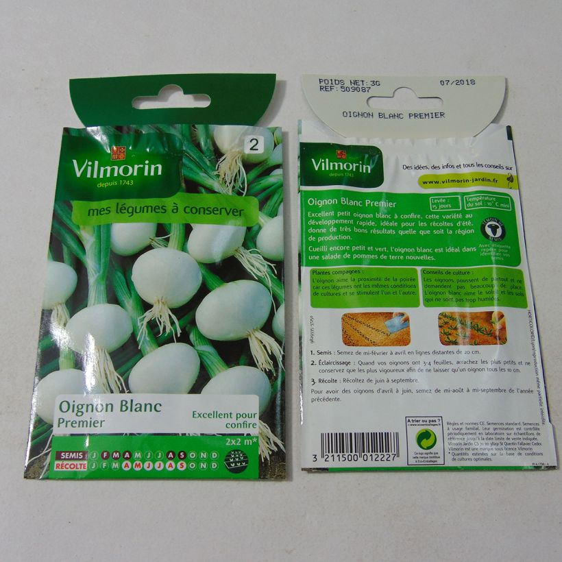 Exemple de spécimen de Oignon Blanc Premier - Vilmorin le sachet de 750 graines (3g) tel que livré