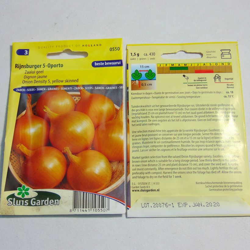 Exemple de spécimen de Oignon Rijnsburger 5 Oporto - Allium cepa le sachet de 430 graines (1g) tel que livré