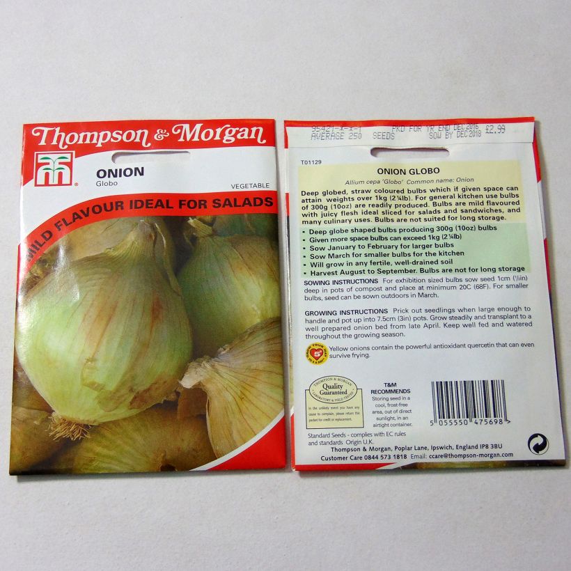 Exemple de spécimen de Oignon jaune Globo (Globe) - Allium cepa le sachet de 250 graines tel que livré
